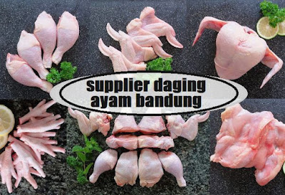 agen grosir daging ayam dan daging bebek di Bandung