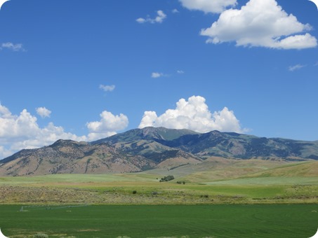 Idaho Fields