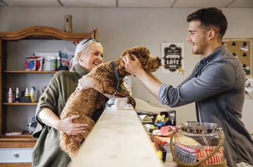 vet greeting dog