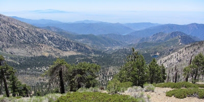 View south from Mt. Islip