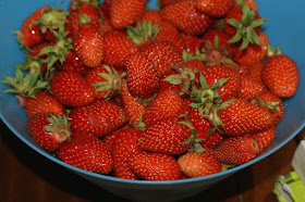Delicious strawberries