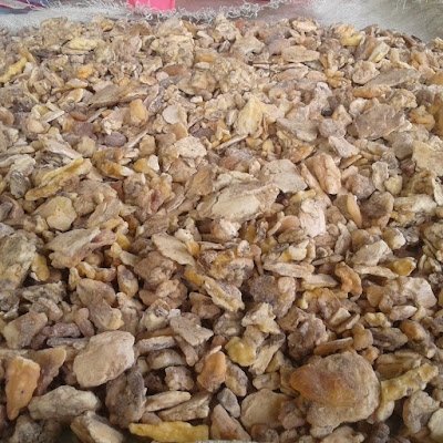 GUM BENZOINT SUMATERA