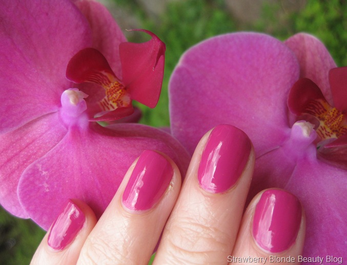 OPI Dim Sum Plum (5)