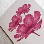 Bella Stationery Studio July
