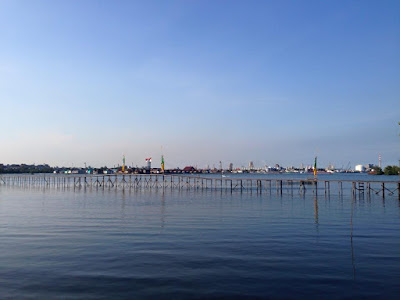 Hutan Mangrove BSD piknikbontangcom