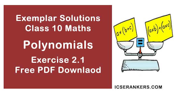 Chapter 2 Polynomials NCERT Exemplar Solutions Exercise 2.1 Class 10 Maths