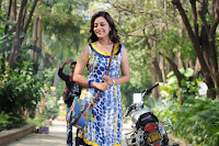 saradaga ammaitho stills