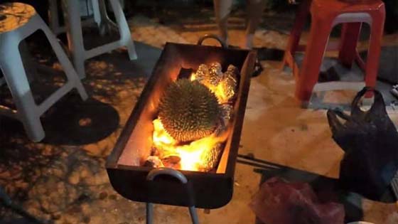 Sedap ke Durian Bakar?