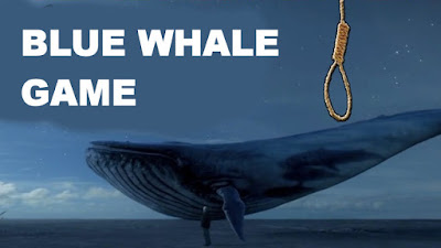 blue whale game