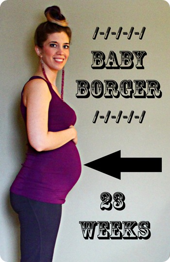 23 weeks 23 weeks
