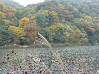 嵐山北岸からみた紅葉