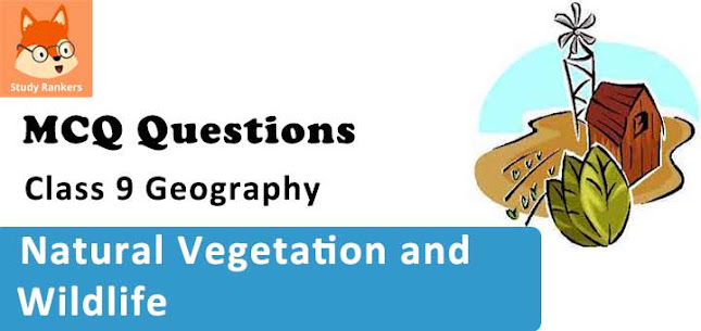 Chapter 5 Natural Vegetation and Wildlife MCQ Questions with Solutions for Class 9 Geography