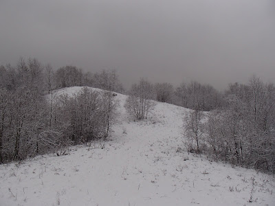 Pieniny, Jarmuta, grzyby 2018, grzyby zimowe, grzybobranie w zimie, uszaki bzowe