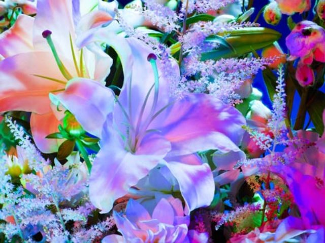 Pic Of Flowers For Facebook