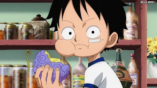 ワンピースアニメ ルフィ ゴムゴムの実 | ONE PIECE 伝説の記録！赤髪のシャンクス