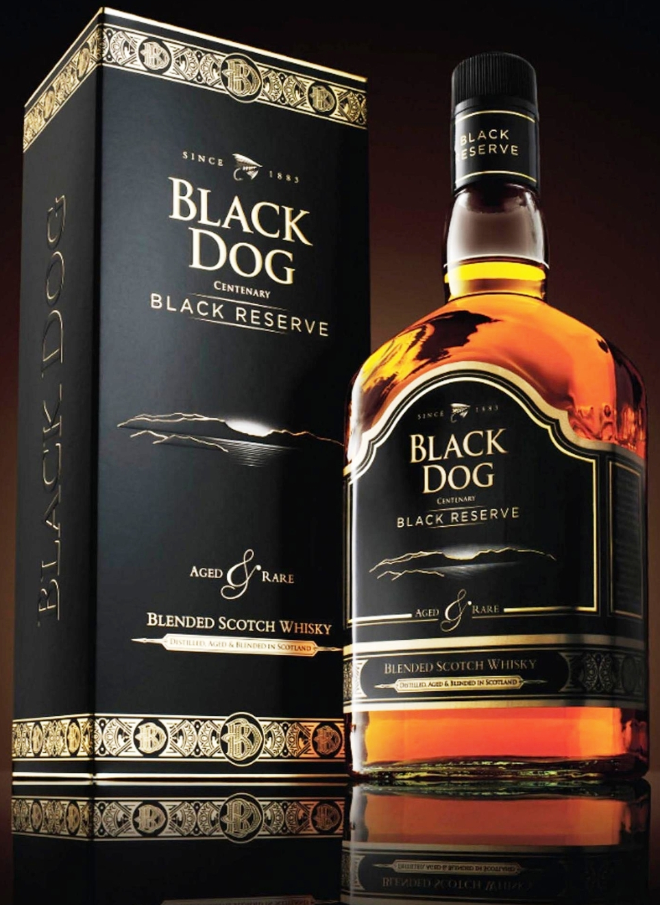 NOEL ON WHISKY THE INTRIGUING HISTORY OF THE BLACK DOG