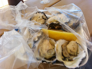 Sydney Rock  oyster