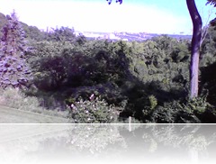 View from Mom's Deck