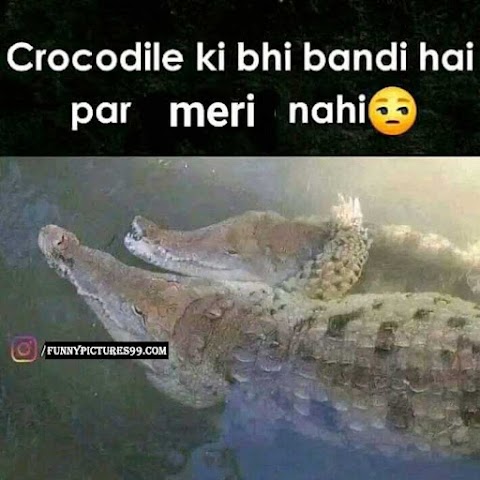 Hindi - Urdu Memes 102