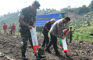 Dukung Ketahanan Pangan, Pangdam IV/Diponegoro Bersama Forkopimda Jateng Tanam dan Panen Jagung 