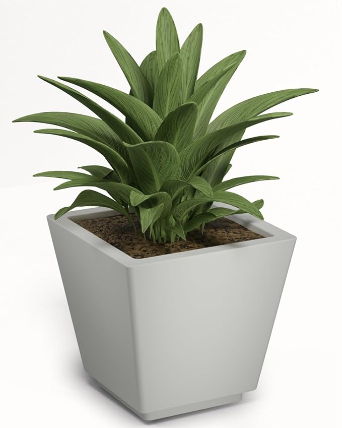 Concrete Cube Desktop Planter with Drainage Hole - Industrial Chic for Your Indoor Green Oasis