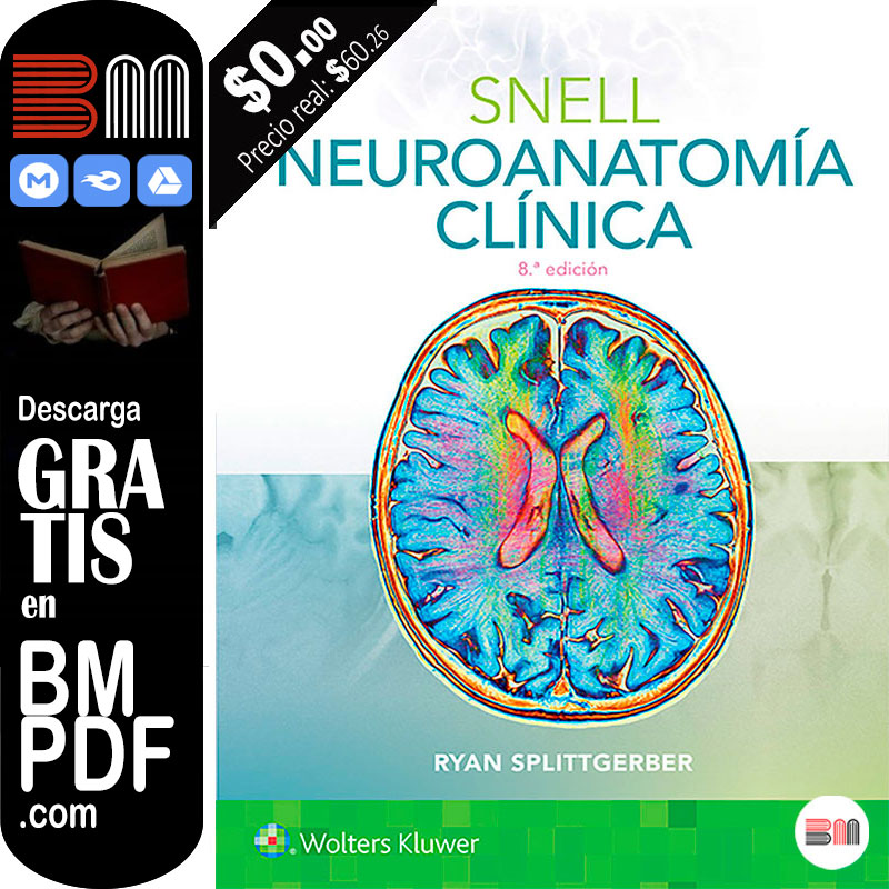 SNELL Neuroanatomía clínica 8 edición PDF