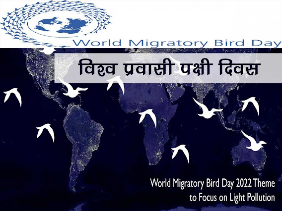 विश्व प्रवासी पक्षी दिवस 2022 थीम (विषय) उद्देश्य महत्व इतिहास | World Migratory Bird Day 2022 Theme importance History
