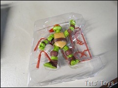 Michelangelo 2012