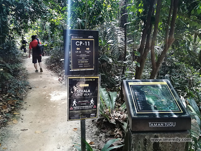 Taman Tugu Forest Trail Highlights