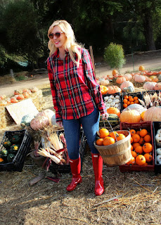 Pastorino's Pumpkin Farm