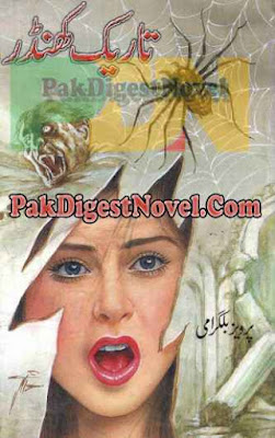 Tareek Khandar (Novel Pdf) By Parvez Balgrami