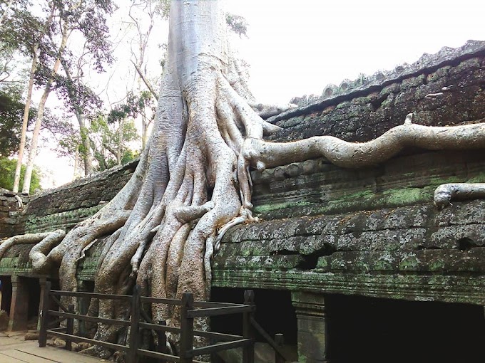 Visite Angkor en 4 jours - Kbal Spean et Beng Mealea