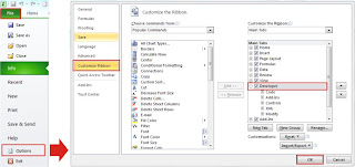 Menampilkan Teb Developer Microsoft Office 2010