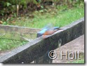 DSCF0345