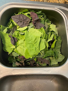 Sink Full of Orach