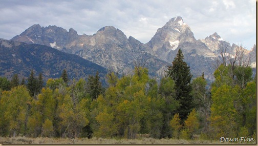 Drive in tetons_20090913_074