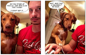 30 Funny animal captions - part 18 (30 pics), funny dog meme
