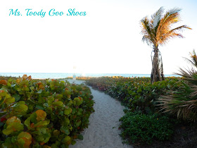 Florida --- by Ms. Toody Goo Shoes Florida --- by Ms. Toody Goo Shoes