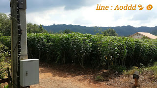   แดนมหามงคล, เกาะมหามงคล 2560, ร้อยแปด พัน เก้า เกาะ มหา มงคล pantip, ท่องเที่ยว เกาะ มหา มงคล, แผนที่ แดน มหา มงคล, แม่ชีบงกช pantip, คดีแม่ชีบงกช, เกาะ มหา มงคล 2557, เสียงธรรม อุบาสิกาบงกช