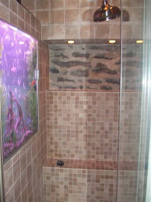 fish aquarium design