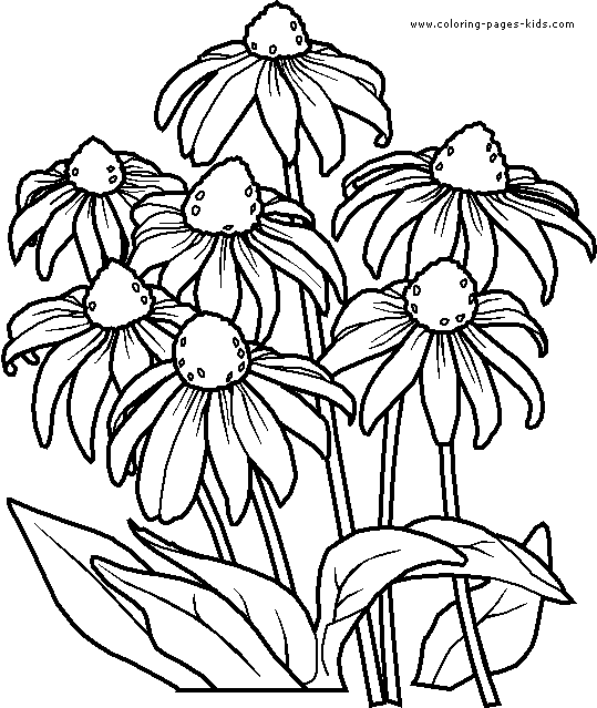  Coloring  Pages  For Adults  Flowers  Top Coloring  Pages 