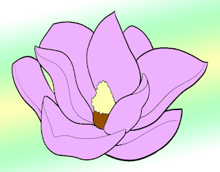 Magnolia Drawing