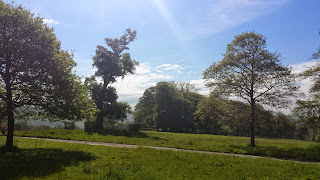 Lanhydrock Park Run