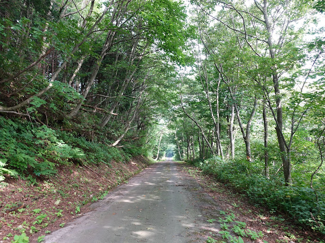 香取の大休峠に向かう山道を降ります