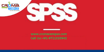 SPSS Online Training in India