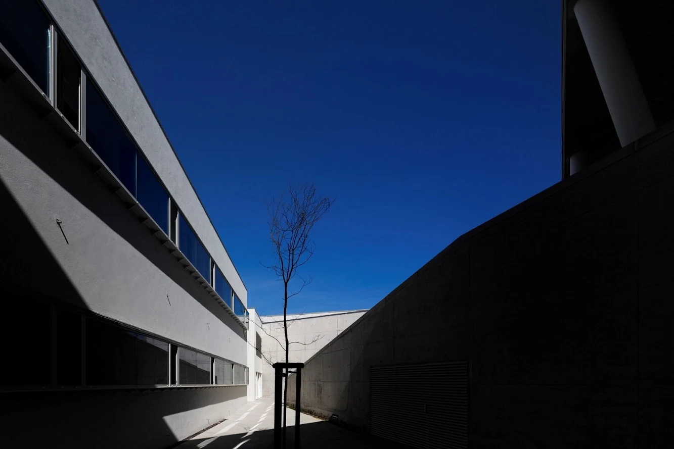 Caneças High School by Arx