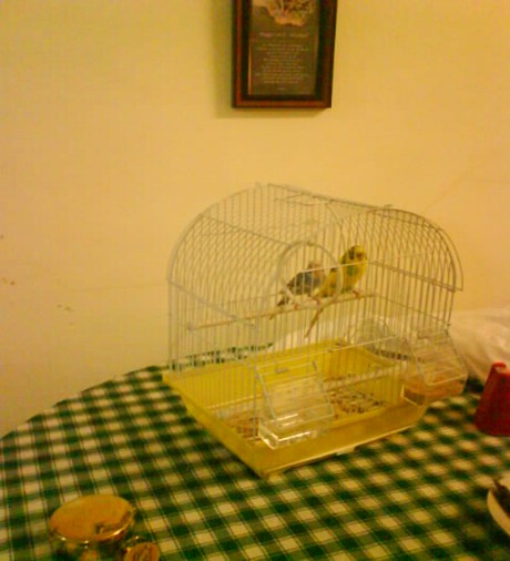 DSC04006