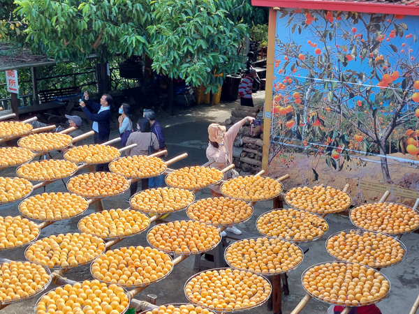 新竹新埔味衛佳柿餅觀光農場傳承百餘年柿餅加工文化，攝影人必訪