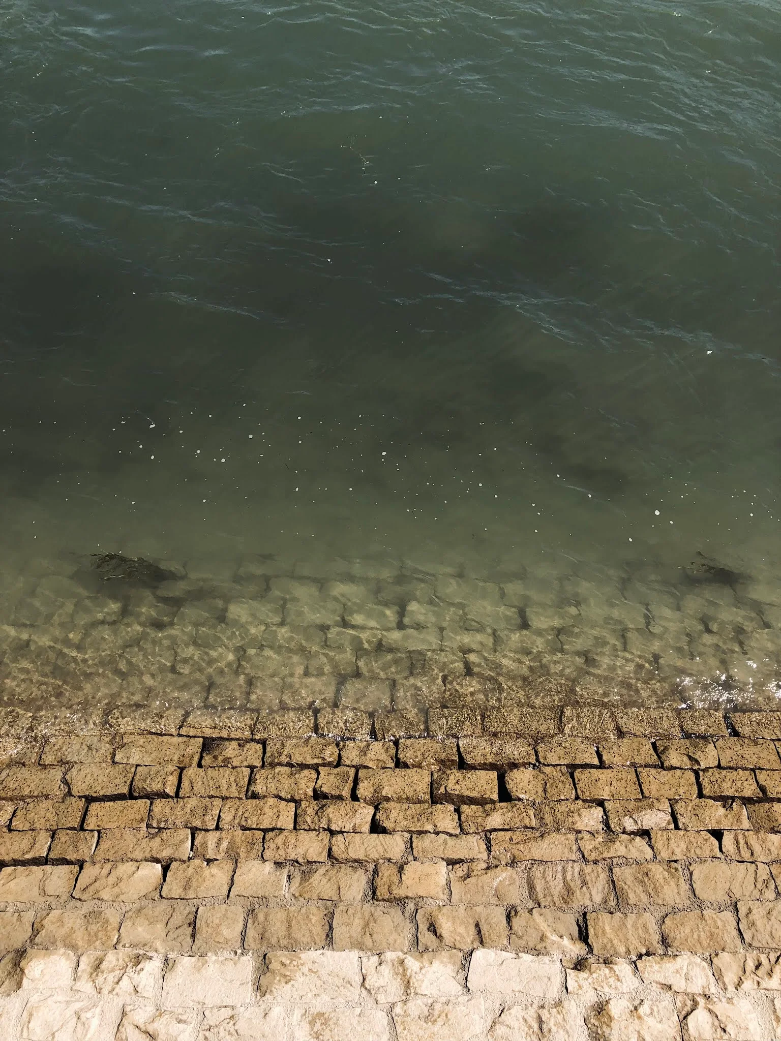Ludwigshafen am Rhein, 2021