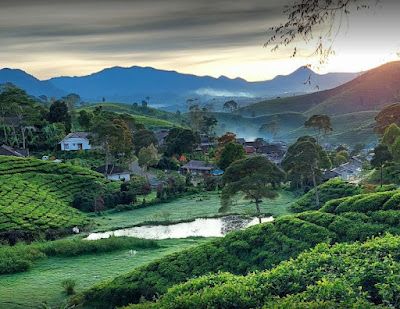 Taman Langit Pangalengan